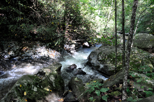 water flowing from Colt Creek